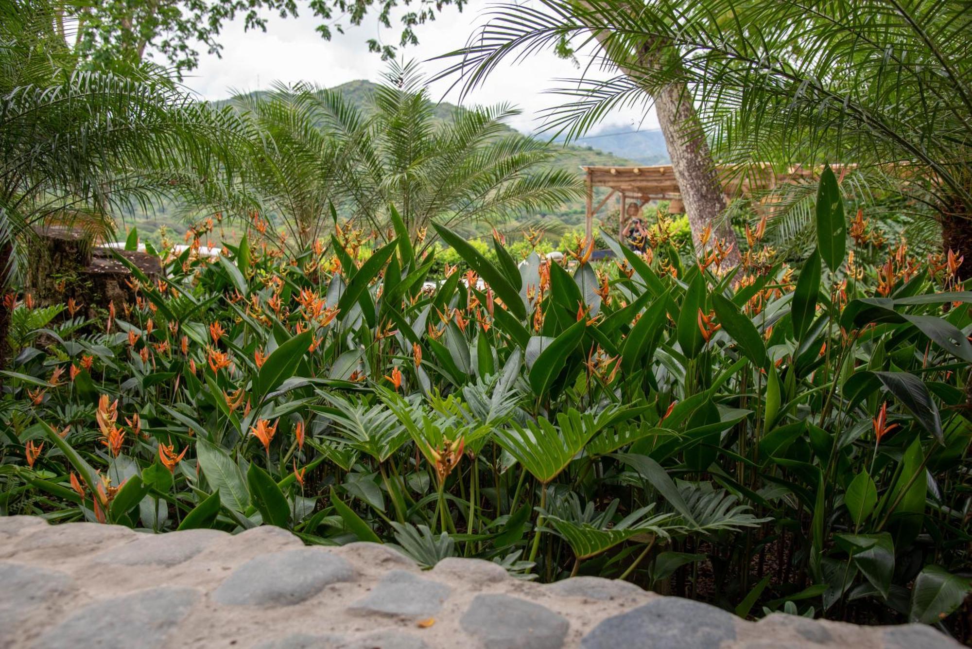 Nativa Refugio Escondido Hotel Santa Fe de Antioquia Kültér fotó